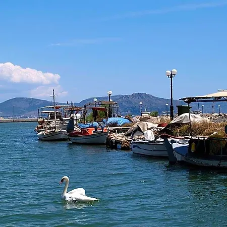 Argo Near Nafplio Apartahotel Nea Kios